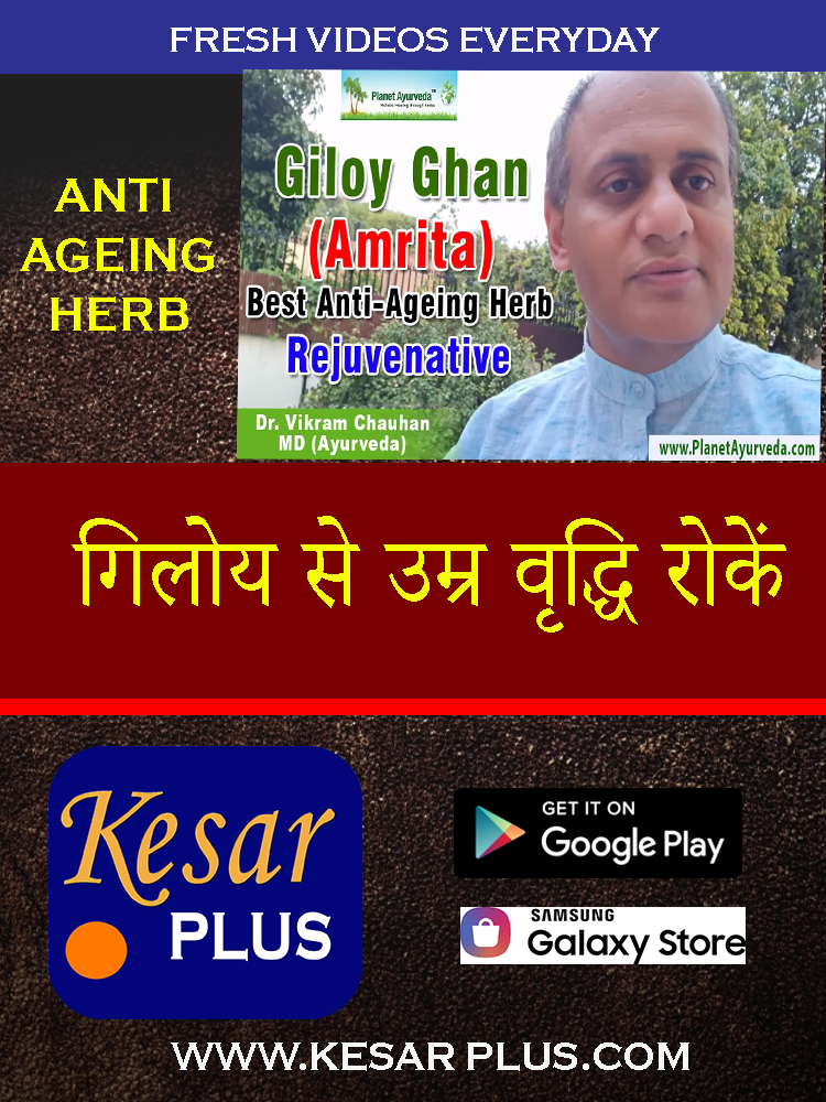 Giloy Usage for Better Health