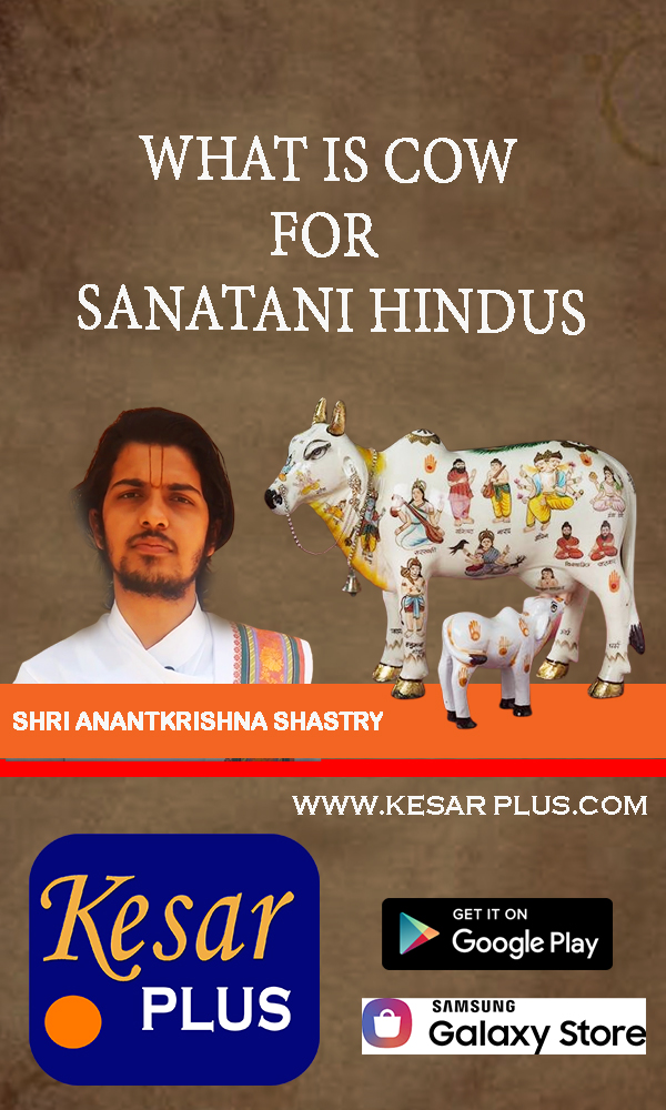 What Is Cow For Sanatani Hindus